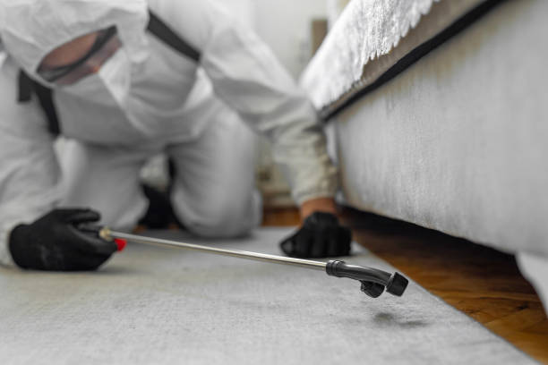Professional Termite Control technician working in Wendell, ID